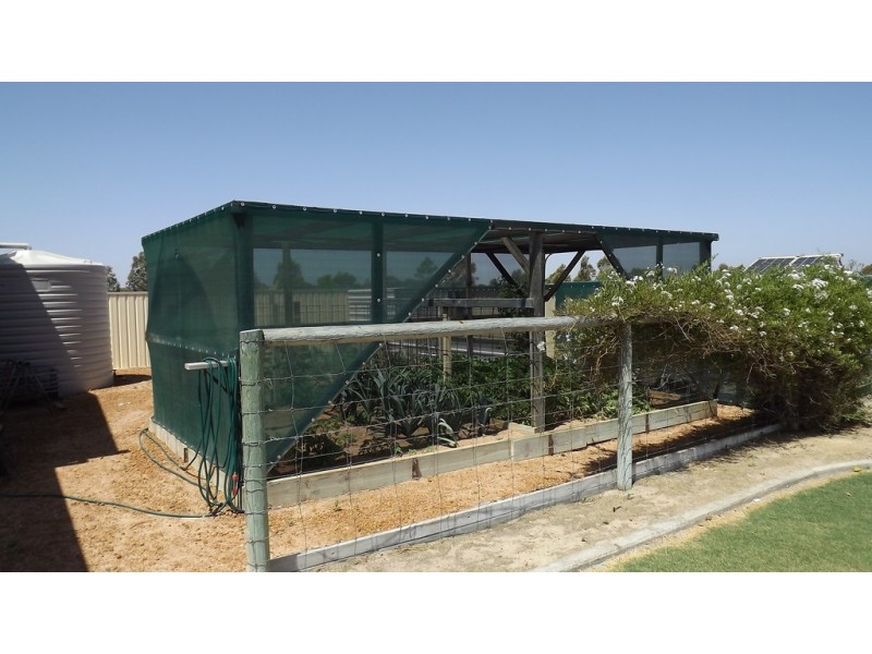 7 Cardwell Gardens, Dongara WA 6525