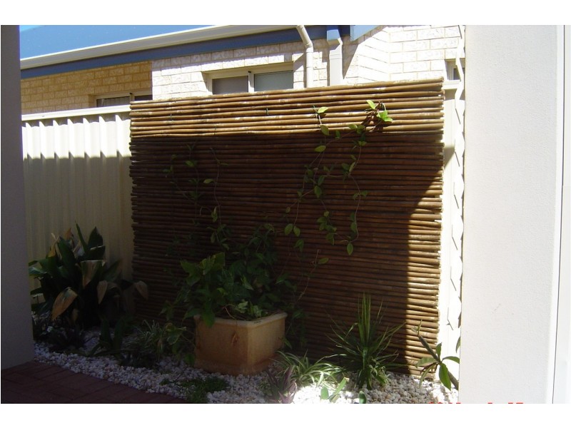 17 Damia Circle, Port Denison WA 6525