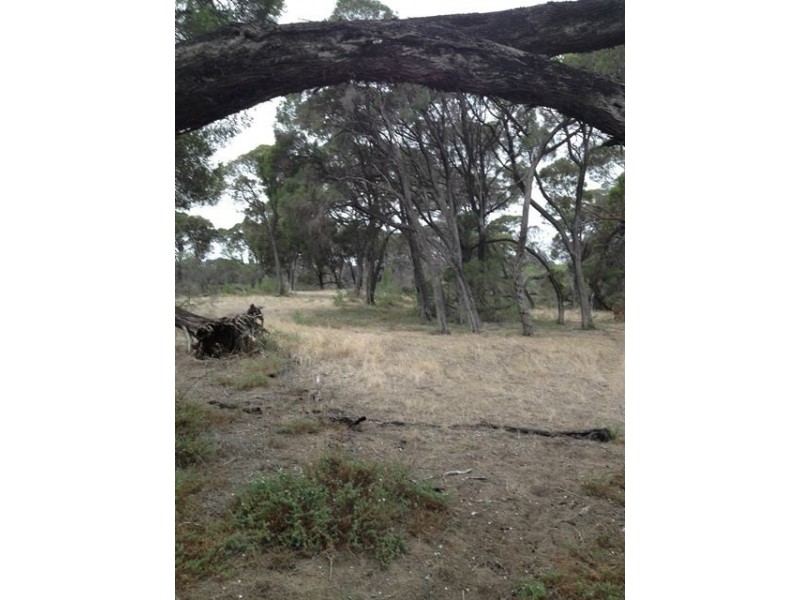 81 Acacia Road, Yardarino WA 6525