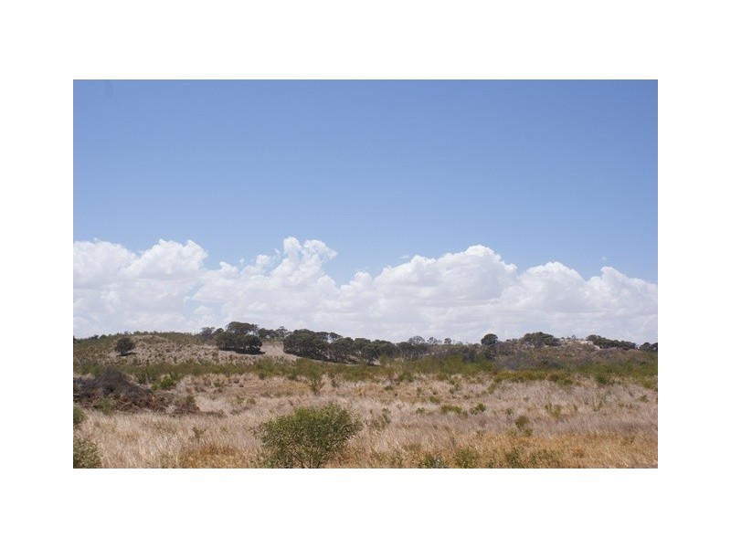 81 Acacia Road, Yardarino WA 6525