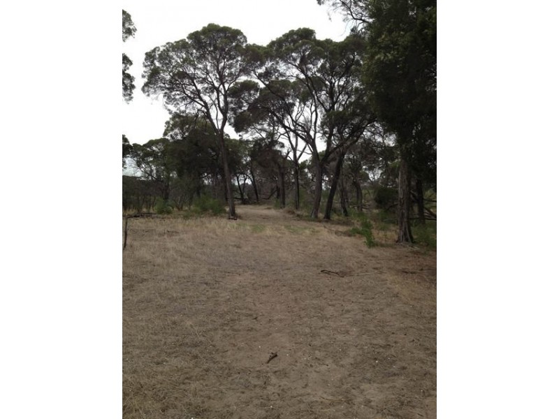 81 Acacia Road, Yardarino WA 6525