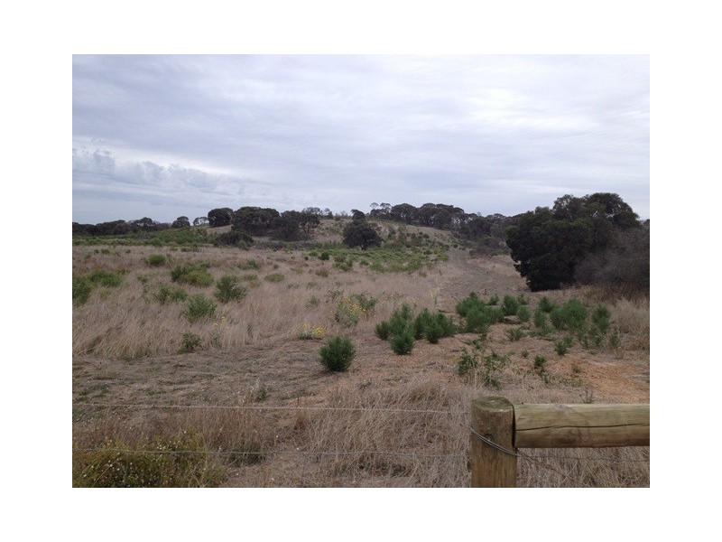 81 Acacia Road, Yardarino WA 6525