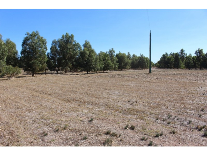 120 Wimpole Road, Bonniefield WA 6525