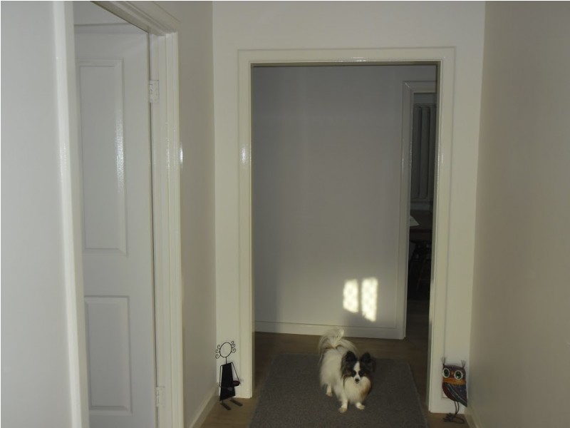 46 MacPherson Street, Carnamah WA 6517