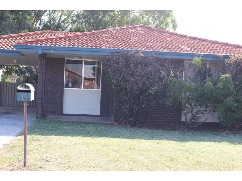 11 Scott Road, Dongara WA 6525