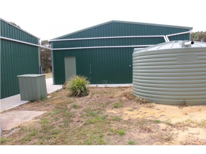 38 Tulloch Drive, Dongara WA 6525