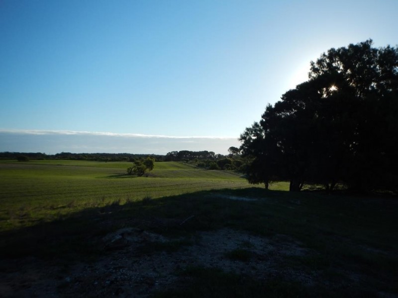 164 Springfield Drive, Springfield WA 6525