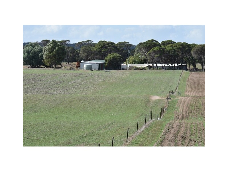 164 Springfield Drive, Springfield WA 6525