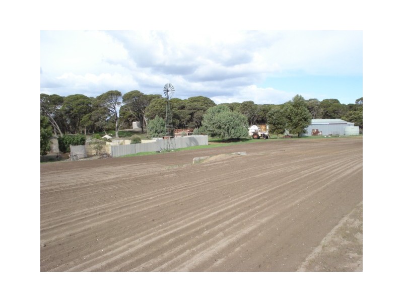 164 Springfield Drive, Springfield WA 6525