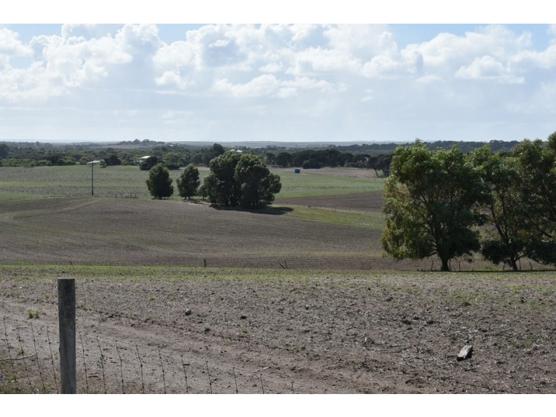 164 Springfield Drive, Springfield WA 6525