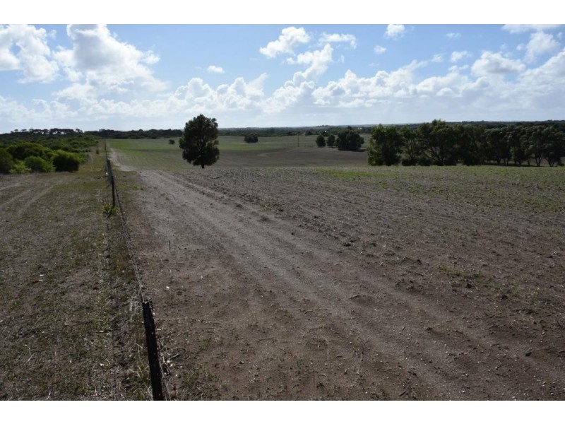 164 Springfield Drive, Springfield WA 6525