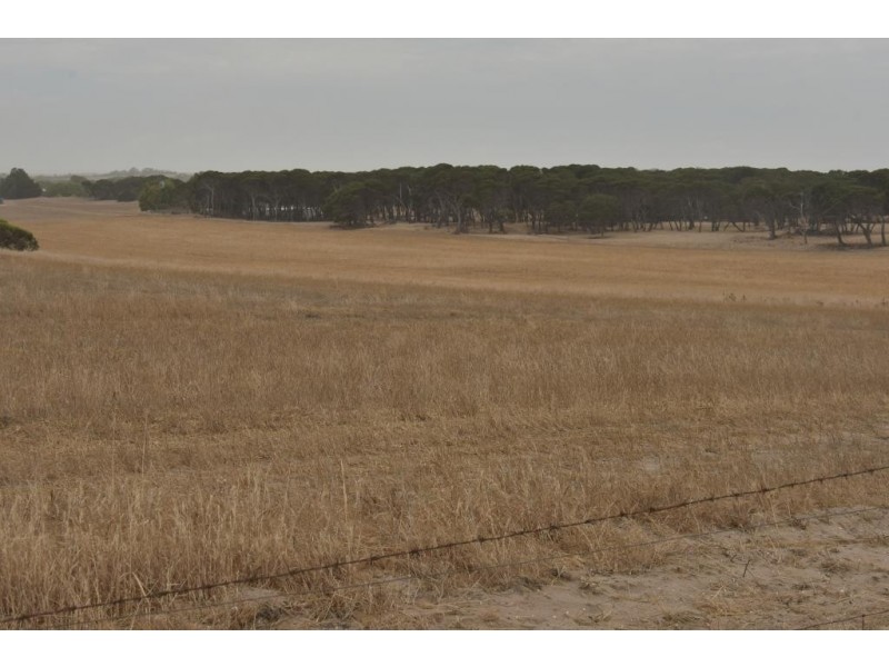 164 Springfield Drive, Springfield WA 6525