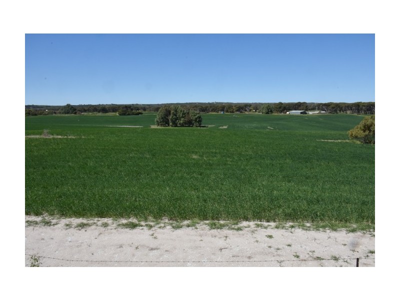 164 Springfield Drive, Springfield WA 6525