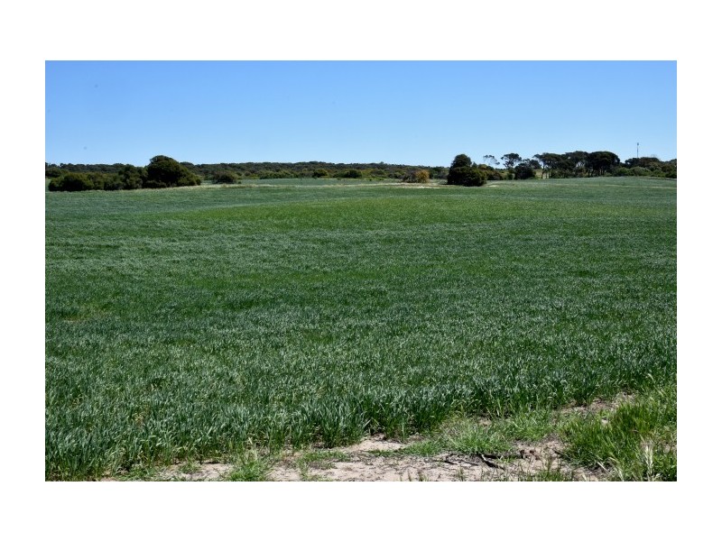 164 Springfield Drive, Springfield WA 6525