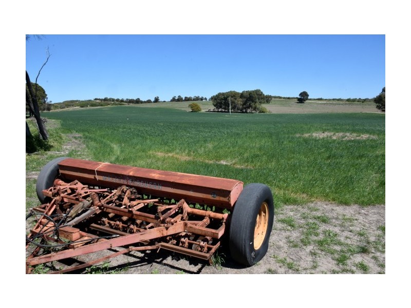 164 Springfield Drive, Springfield WA 6525