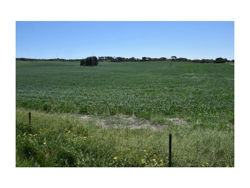 164 Springfield Drive, Springfield WA 6525