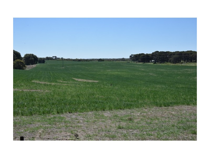 164 Springfield Drive, Springfield WA 6525