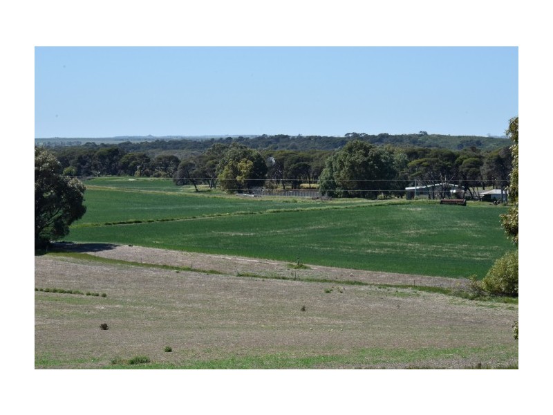 164 Springfield Drive, Springfield WA 6525