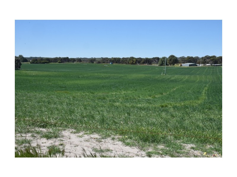 164 Springfield Drive, Springfield WA 6525