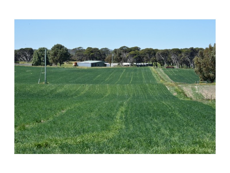 164 Springfield Drive, Springfield WA 6525