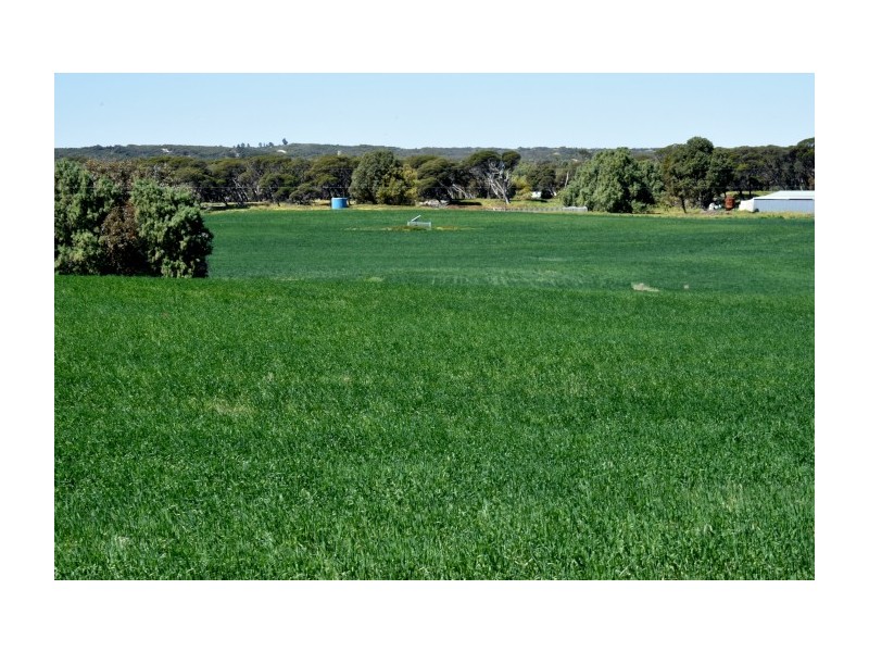 164 Springfield Drive, Springfield WA 6525