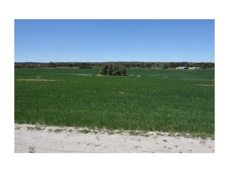 164 Springfield Drive, Springfield WA 6525