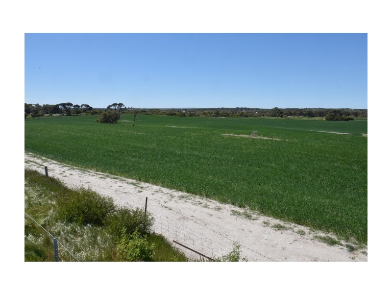 164 Springfield Drive, Springfield WA 6525