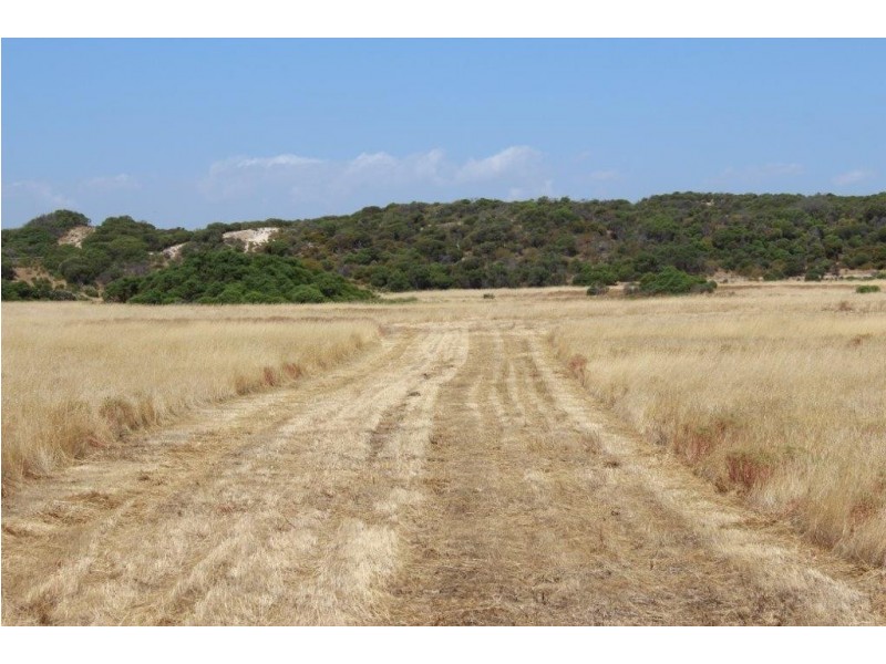 Lot 11 Hamersley Road, Mount Adams WA 6525