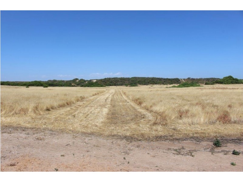 Lot 11 Hamersley Road, Mount Adams WA 6525