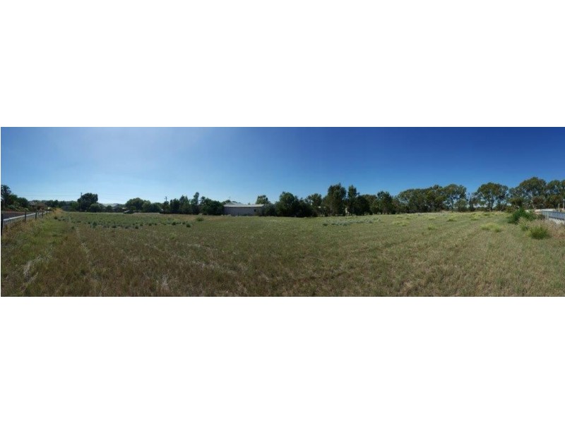 50 Tulloch Drive, Dongara WA 6525