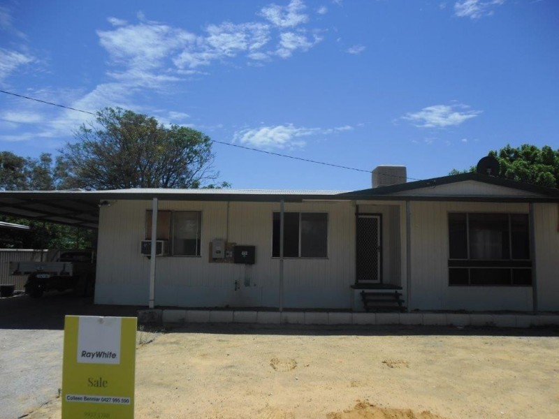 75 Slaughter Street, Three Springs WA 6519