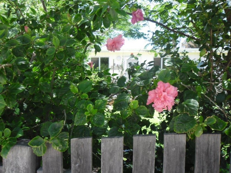 43 MacPherson Street, Carnamah WA 6517