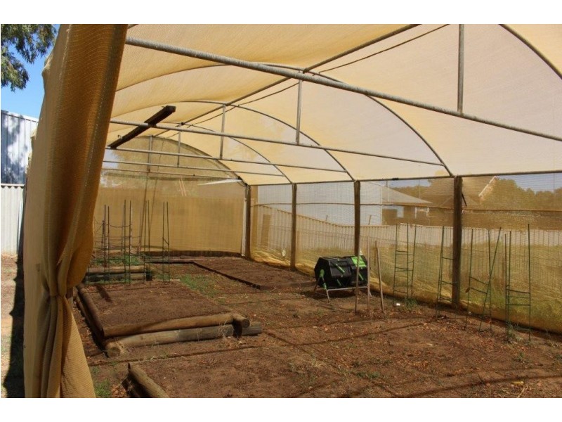 33 Shenton Street, Mingenew WA 6522