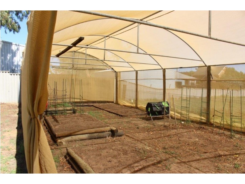 33 Shenton Street, Mingenew WA 6522