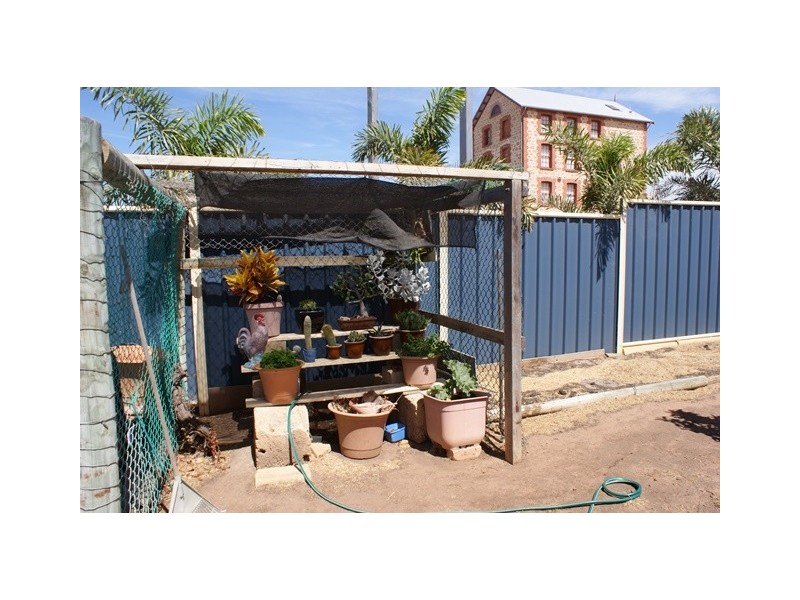 Unit 8 /50 Waldeck Street, Dongara WA 6525