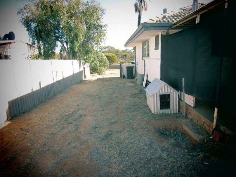 3 Hunt Street, Three Springs WA 6519