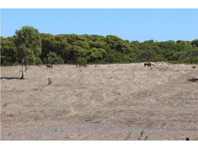 104 Stock Route Road, Yardarino WA 6525