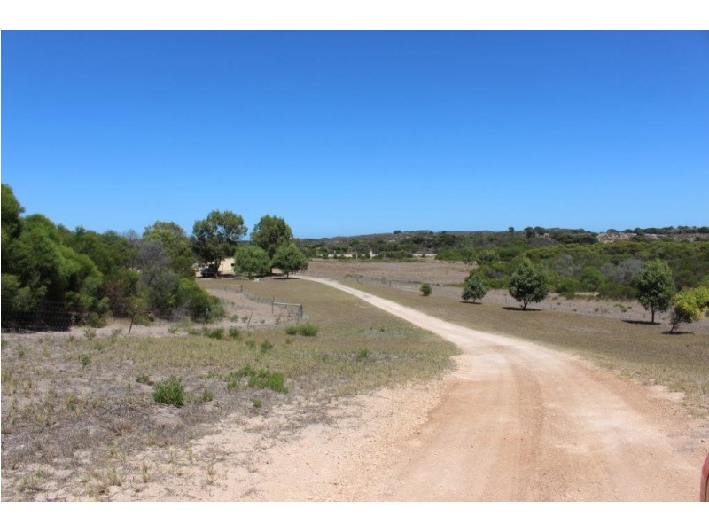 104 Stock Route Road, Yardarino WA 6525