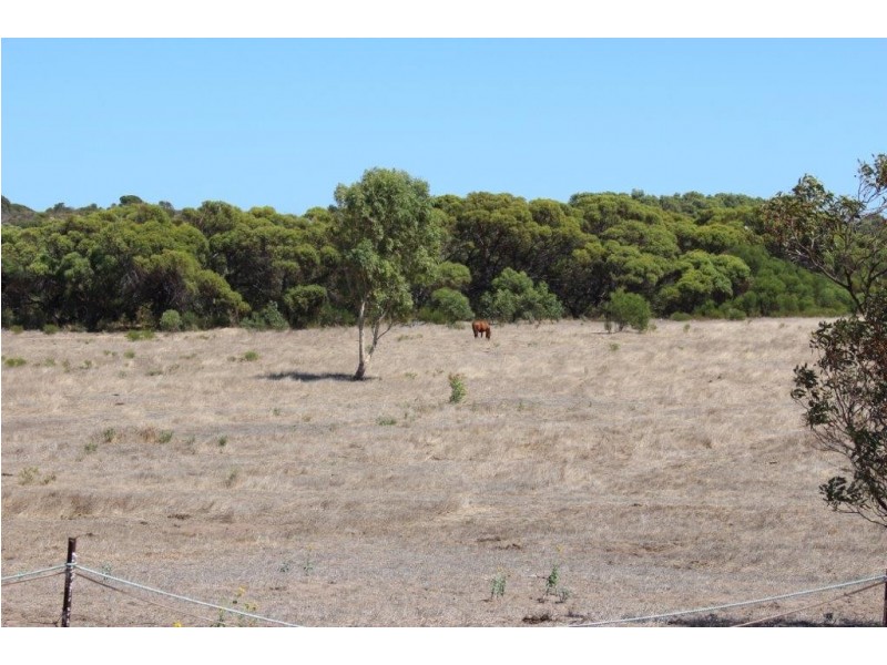 104 Stock Route Road, Yardarino WA 6525