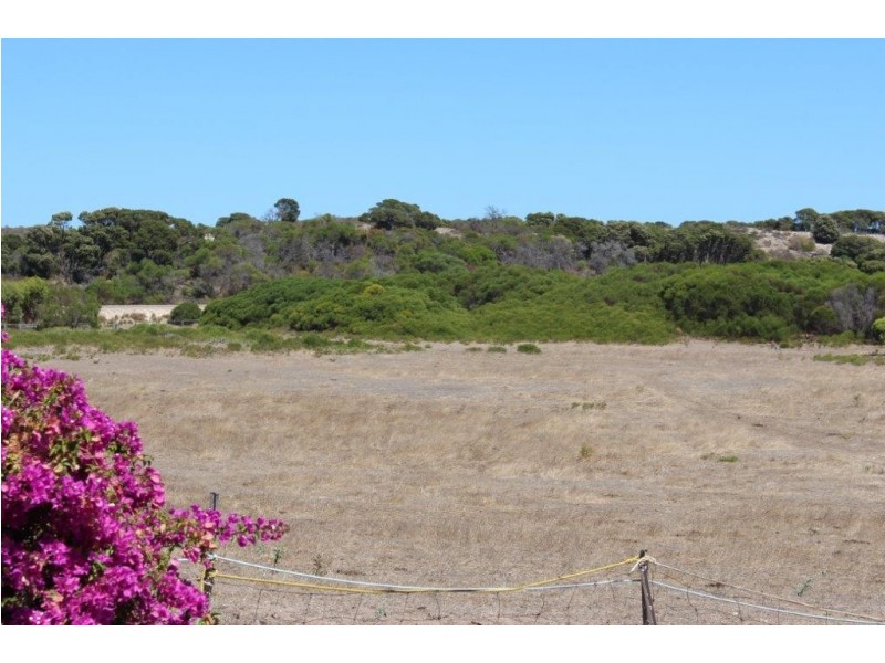 104 Stock Route Road, Yardarino WA 6525