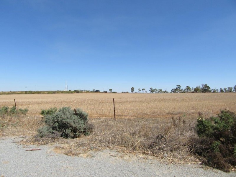 19 Parker Street, Carnamah WA 6517