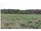 Lot 209 Brennand Road, Dongara WA 6525