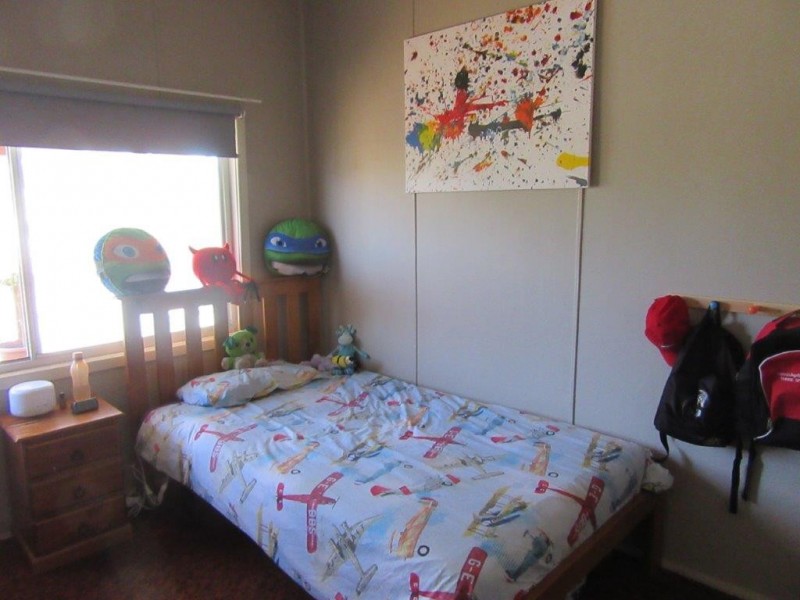 53 Carter Street, Three Springs WA 6519