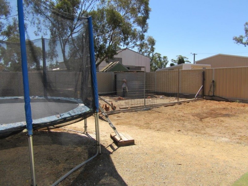 53 Carter Street, Three Springs WA 6519