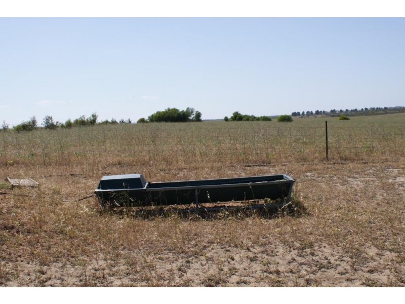 Lot 917 Wye Farm Road, Bonniefield WA 6525