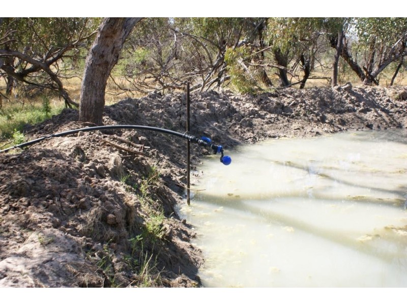 Lot 917 Wye Farm Road, Bonniefield WA 6525