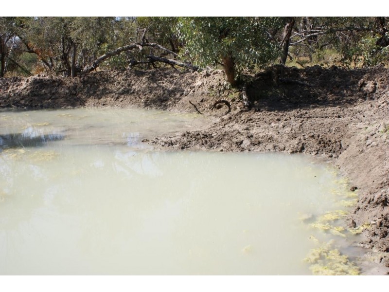 Lot 917 Wye Farm Road, Bonniefield WA 6525