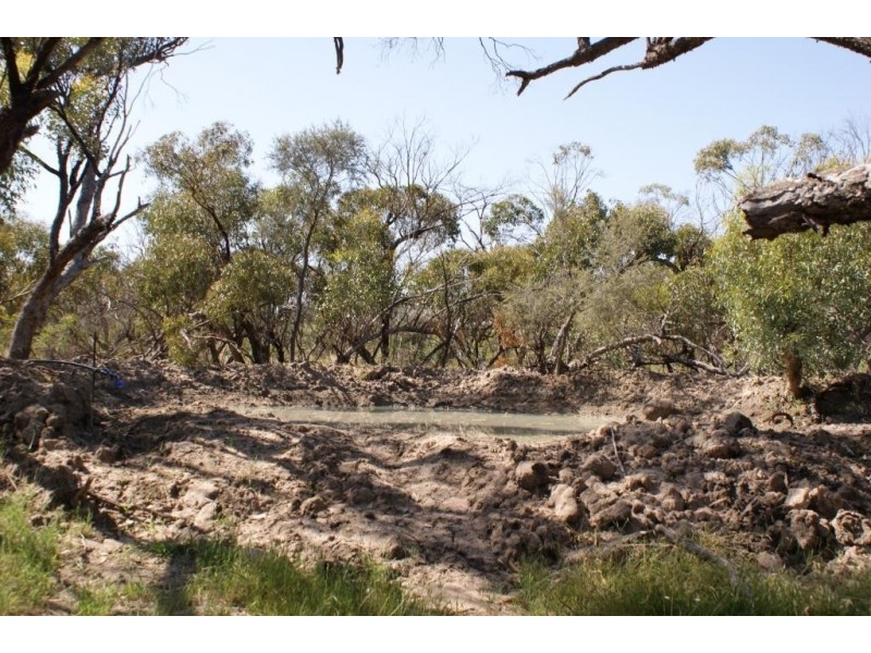 Lot 917 Wye Farm Road, Bonniefield WA 6525