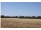 Lot 917 Wye Farm Road, Bonniefield WA 6525