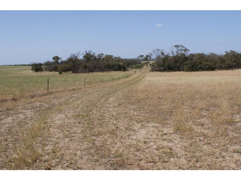 Lot 917 Wye Farm Road, Bonniefield WA 6525